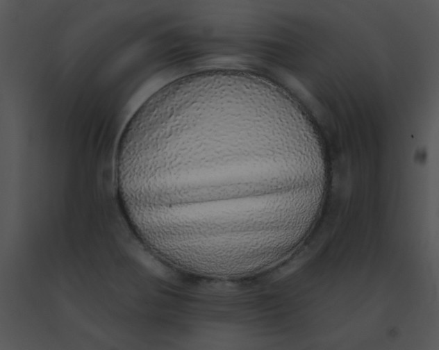 X0000091561370200708311406