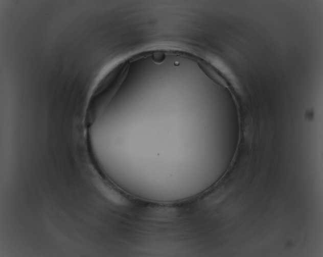 X0000091561372200708311406