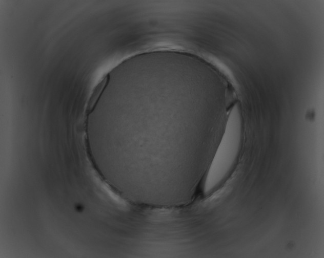 X0000091561373200708311406