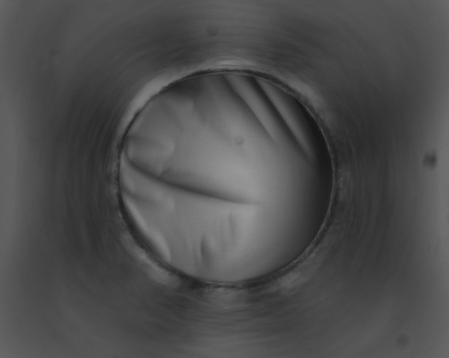 X0000091561374200708311406