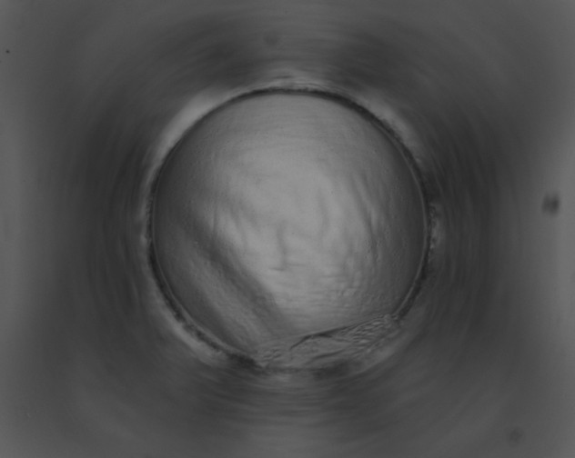 X0000091561375200708311406