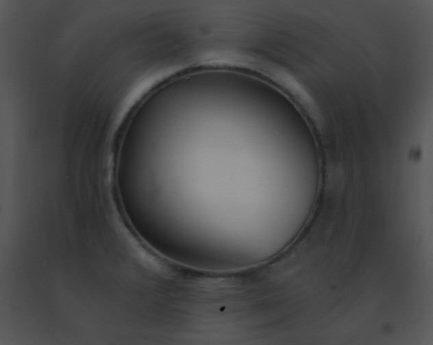 X0000091561376200708311406