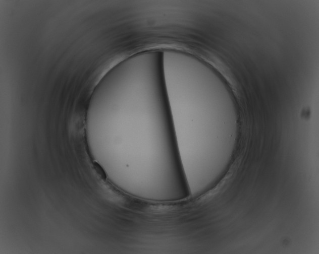 X0000091561377200708311406