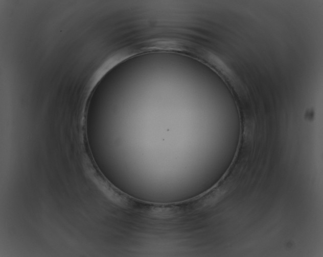 X0000091561378200708311406