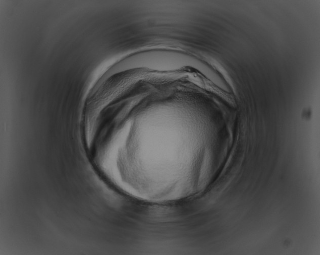 X0000091561379200708311406