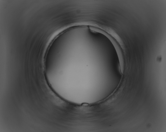 X0000091561380200708311406