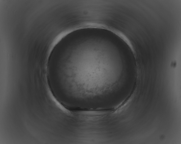 X0000091561381200708311406