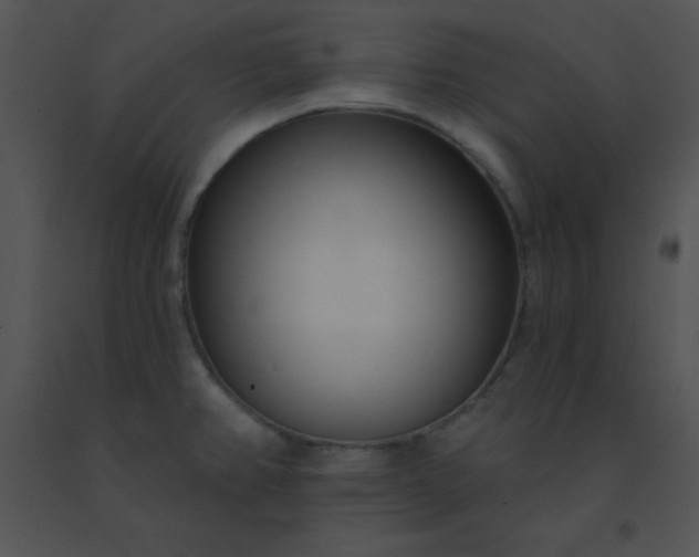 X0000091561382200708311406