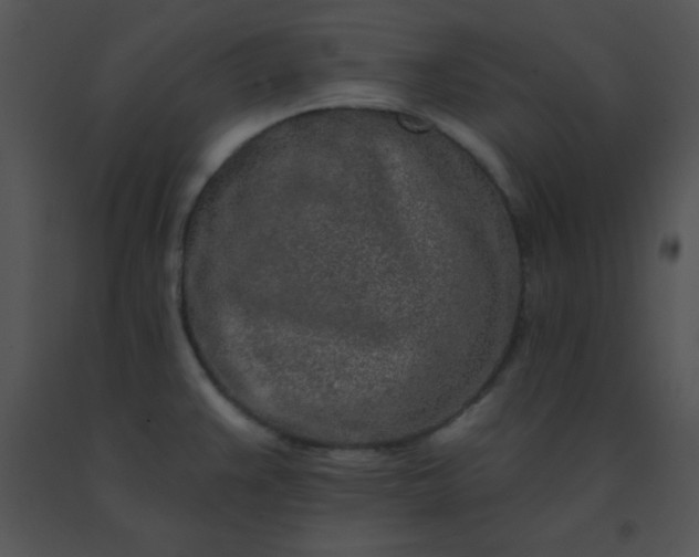 X0000091561383200708311406