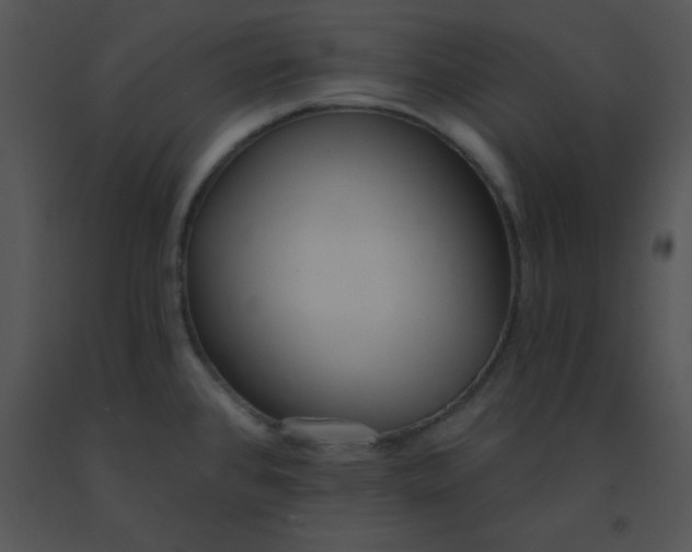 X0000091561384200708311406