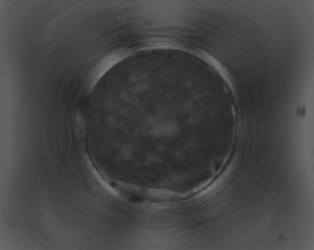 X0000091561385200708311406