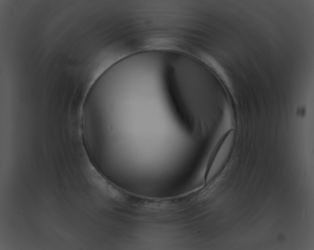 X0000091561386200708311406