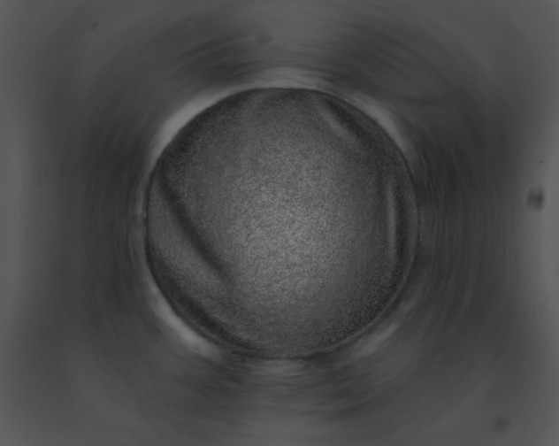 X0000091561387200708311406