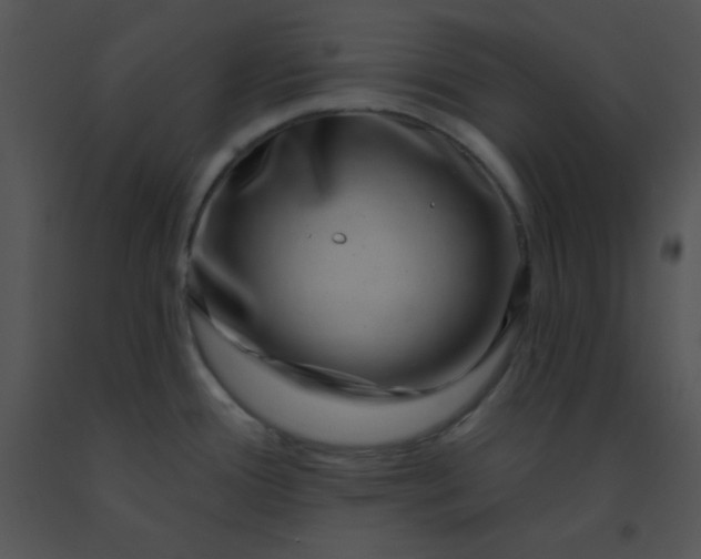 X0000091561388200708311406