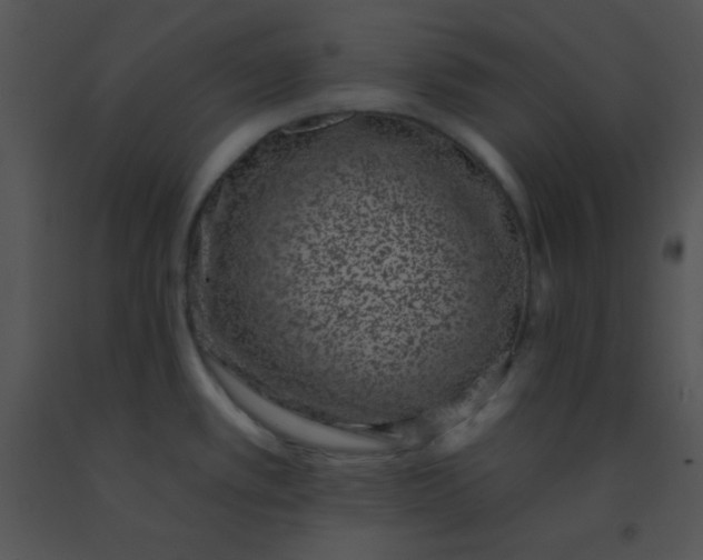 X0000091561389200708311406