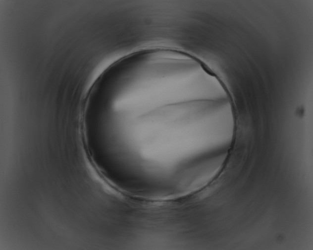 X0000091561390200708311406