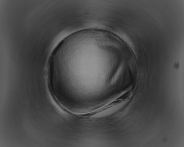 X0000091561391200708311406