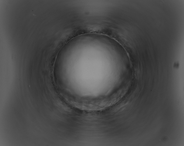 X0000091561393200708311405