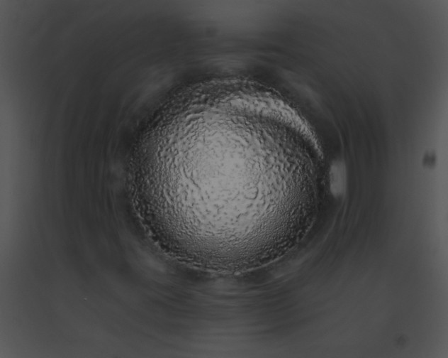 X0000091561395200708311405