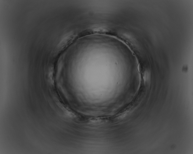 X0000091561396200708311405