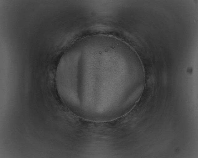 X0000091561397200708311405