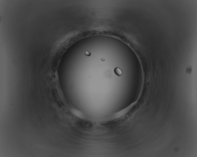 X0000091561398200708311405