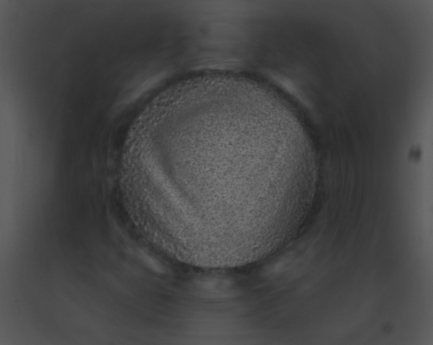 X0000091561399200708311405