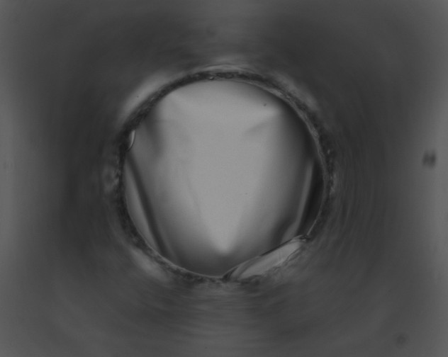 X0000091561400200708311405