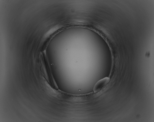 X0000091561402200708311405