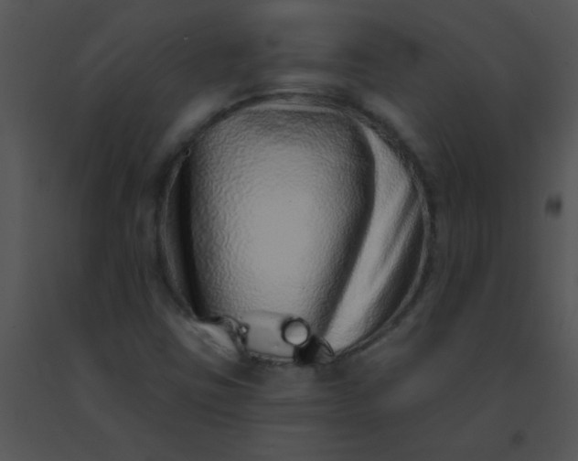 X0000091561403200708311405