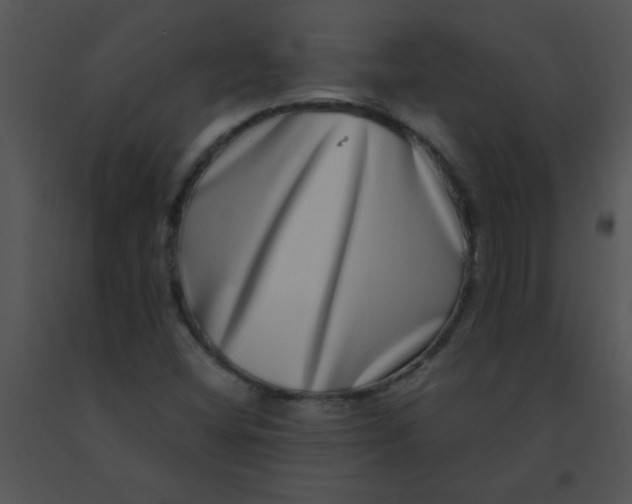 X0000091561404200708311405