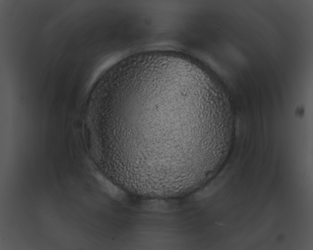 X0000091561405200708311405