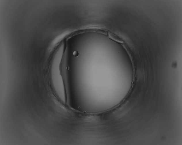 X0000091561406200708311405