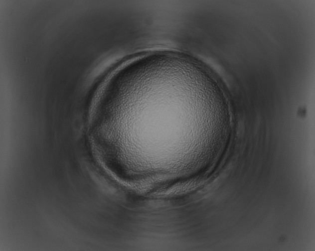 X0000091561407200708311405