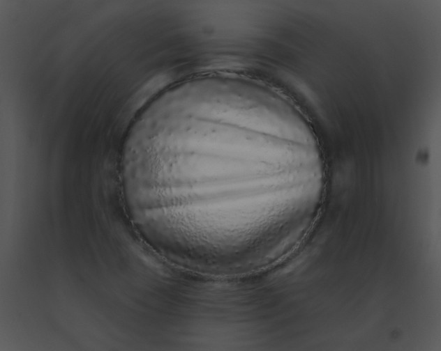 X0000091561409200708311405