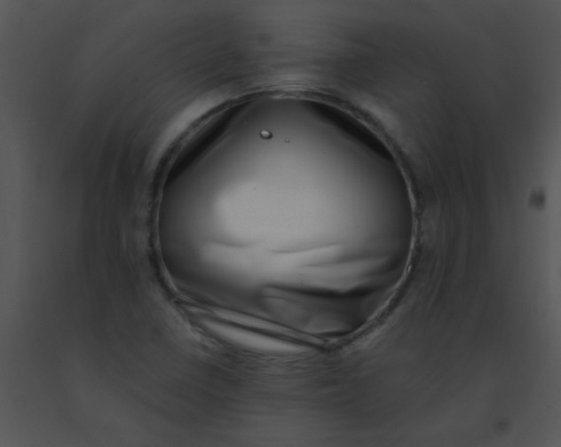 X0000091561410200708311405