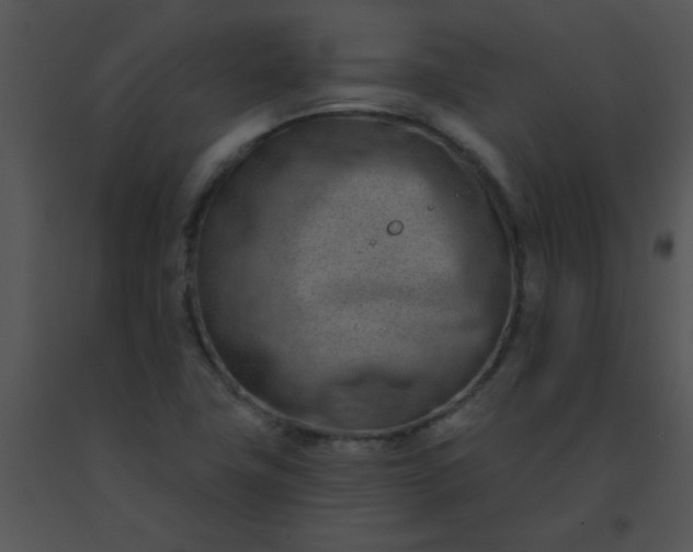 X0000091561411200708311405