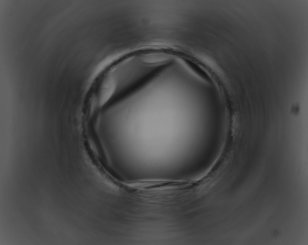 X0000091561412200708311405