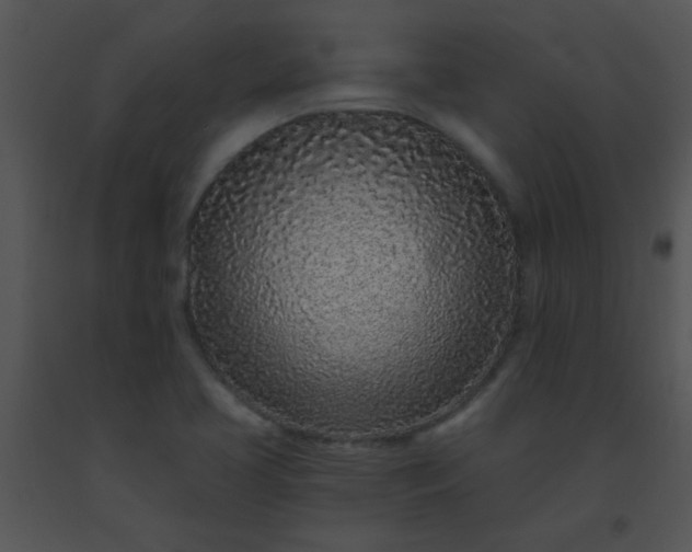 X0000091561413200708311405