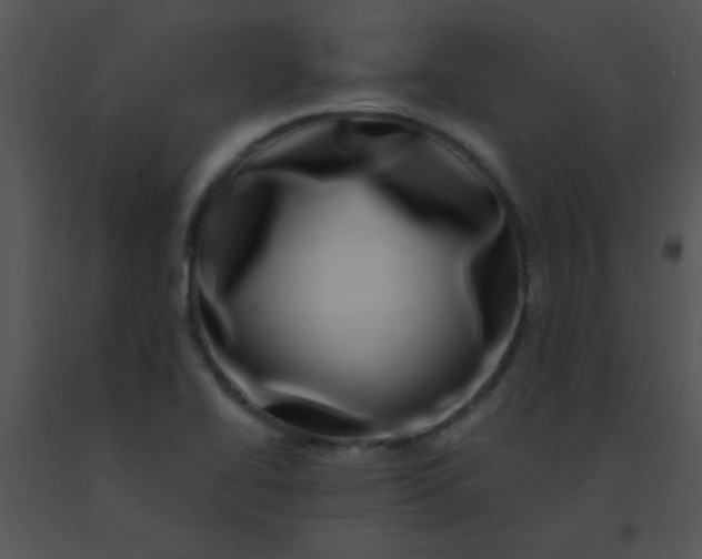 X0000091561414200708311405