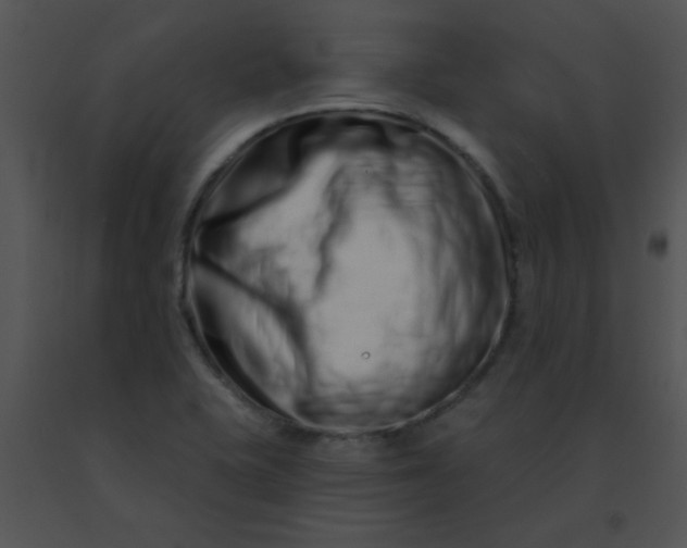 X0000091561415200708311405