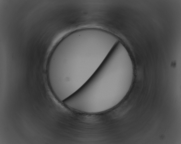 X0000091561416200708311405