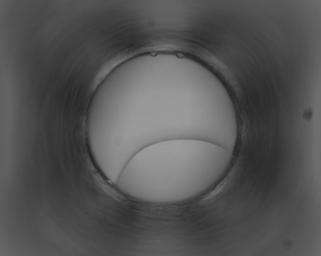 X0000091561417200708311405