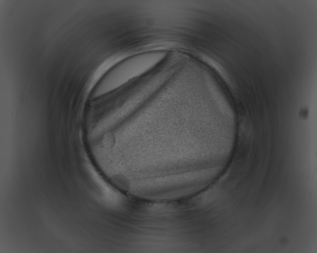 X0000091561418200708311405