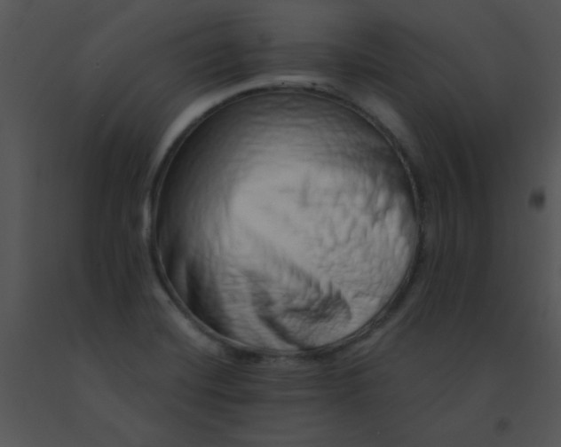 X0000091561420200708311405