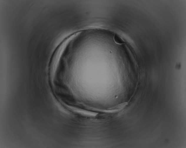 X0000091561423200708311405