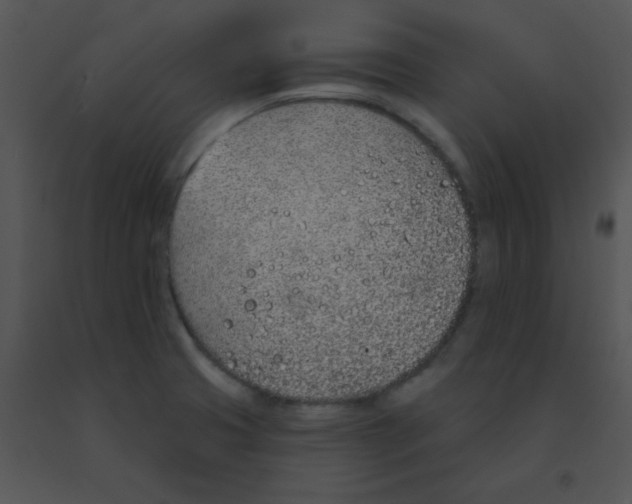 X0000091561425200708311405