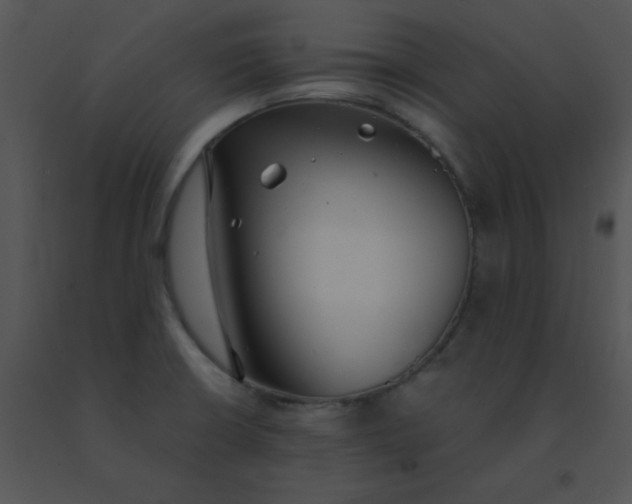 X0000091561426200708311405