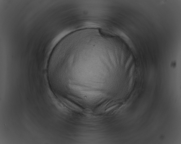 X0000091561427200708311405