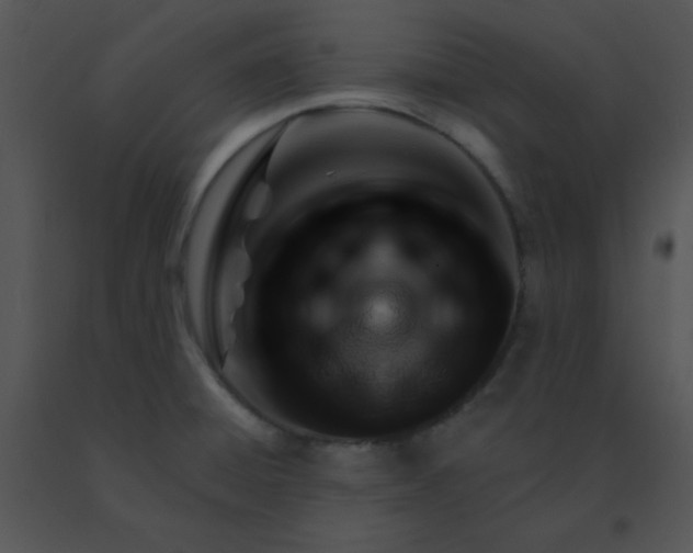 X0000091561428200708311405